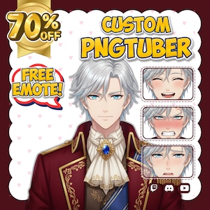 Custom PNGTuber Avatar Model, Cute Anime PNGTuber Character for Streaming Content Creator Branding, Digital Virtual Streamer Avatar