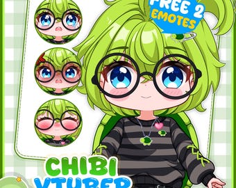 Aangepast Chibi VTuber 2D-model voor streamers, te gebruiken met VTuber Studio, Twitch, Kick, YouTube, enz.