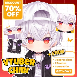 Aangepast Chibi Vtuber-model: aanpasbare Live2D-rigging voor Twitch en Stream