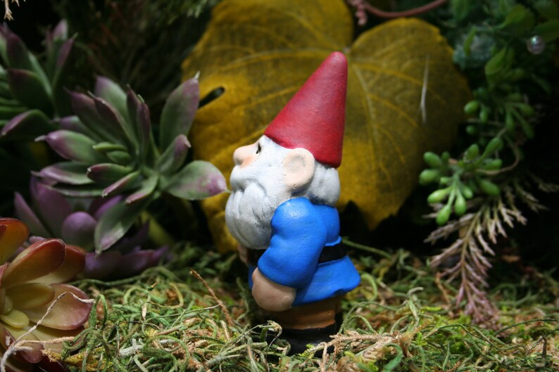 Miniature Garden Gnome Selfie Size Traveling Mini Pocket Gnome image 4