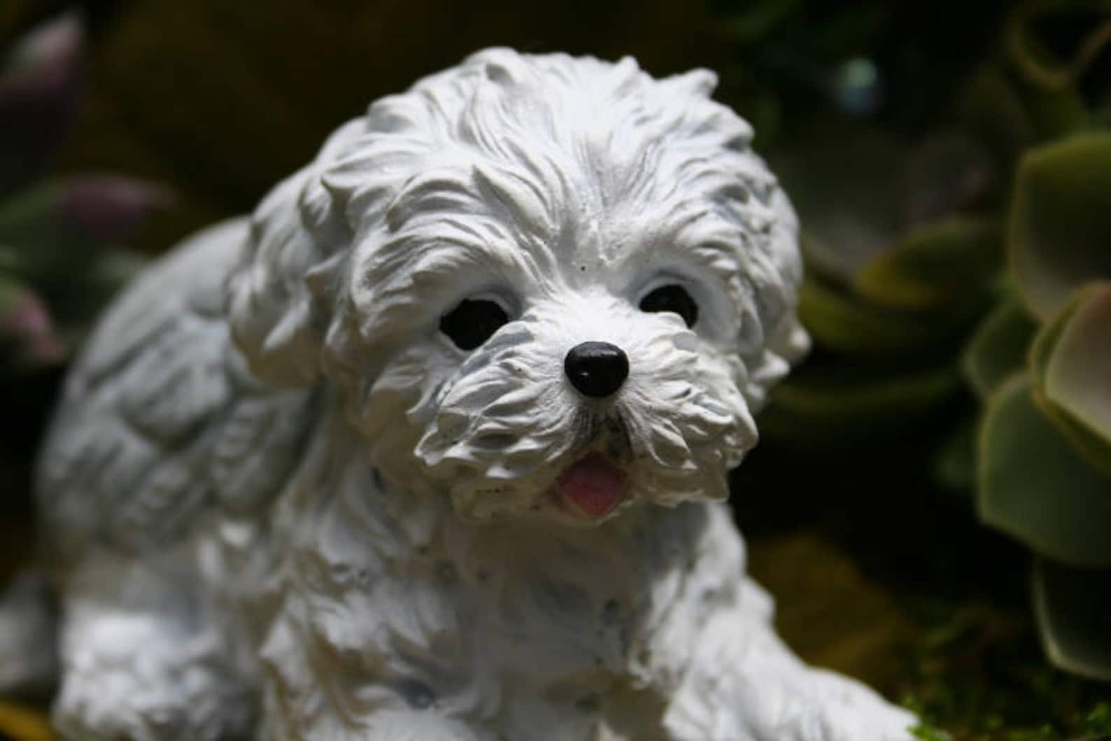 Maltese Dog Angel Statue Maltese Memorial Concrete Statue Etsy