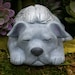 see more listings in the Pet Angels /Pet Memorial section