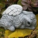 see more listings in the Pet Angels /Pet Memorial section