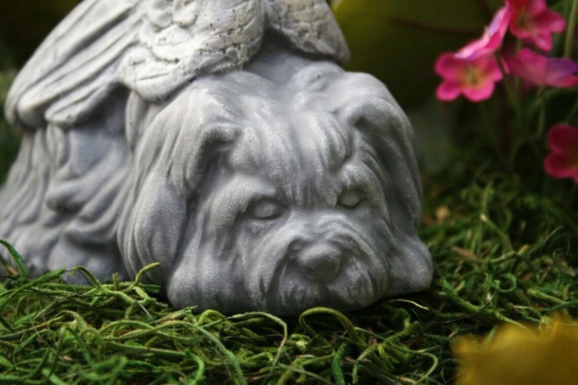 Dog Angel Statues Dog Memorials Shih Tsu Lhasa Apso Etsy