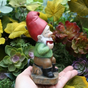 Wine Lover Garden Gnome Red, White & Cheers to Drinking Garden Gnomes image 4