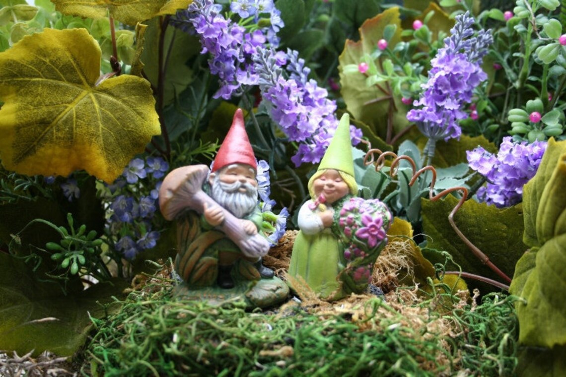 terrarium gnomes