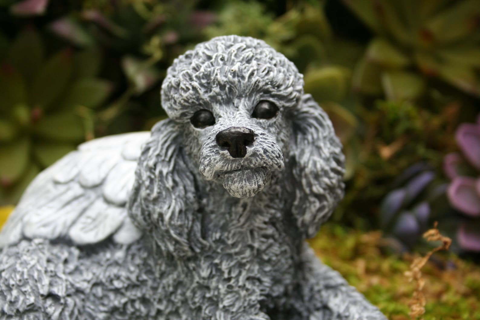 Poodle Angel Dog Statue Miniature or Standard Poodle Etsy
