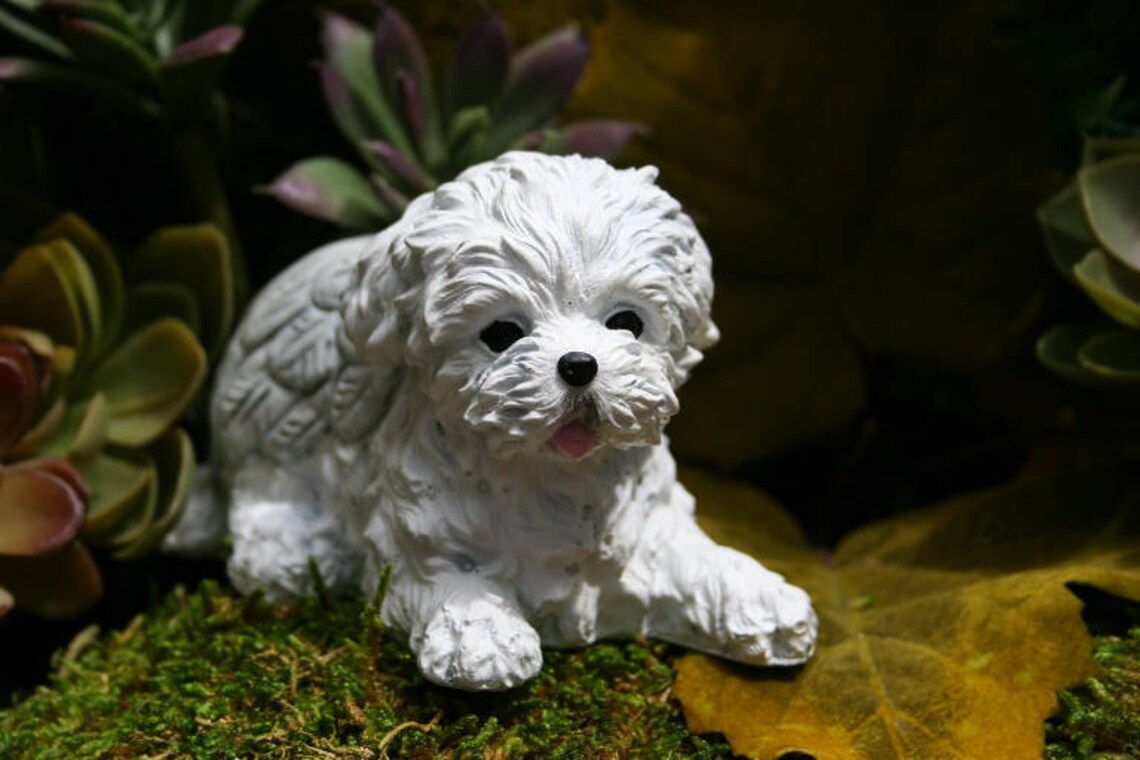 Maltese Dog Angel Statue Maltese Memorial Concrete Statue Etsy