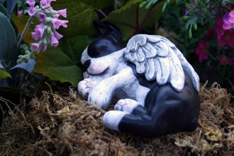 Boston Terrier Angel Statue Dog Angel Concrete Memorial image 3