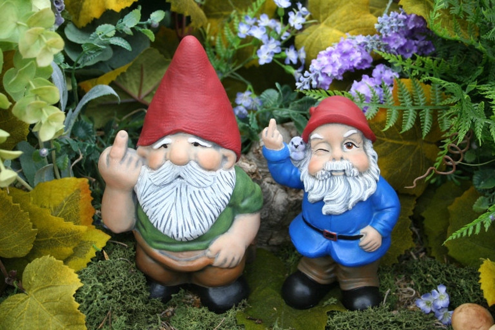 Gnome Flipping The Birdnull