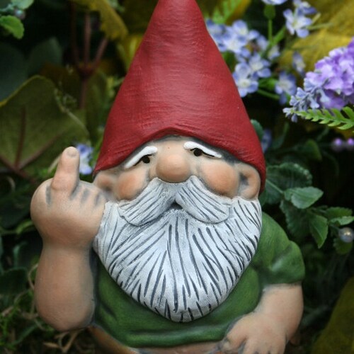 Gnome Flipping The Bird