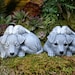 see more listings in the Pet Angels /Pet Memorial section