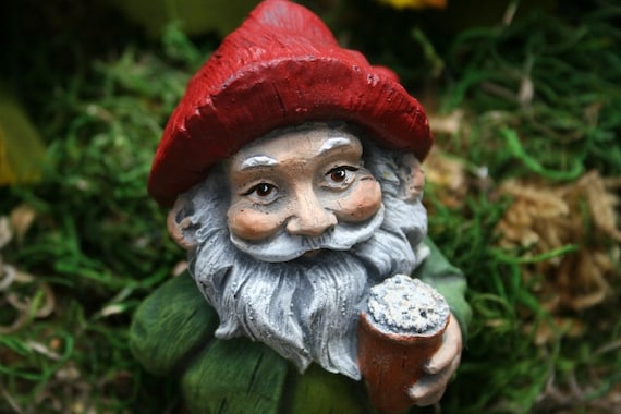 Beer Drinking Gnome Garden Gnomes For Sale Funny Naughty Etsy