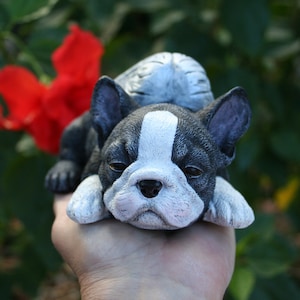 Boston Terrier Angel Dog Statue - Large Size Concrete Boston Terrier Statue  7.5" Long x 3" Tall x 3" Wide