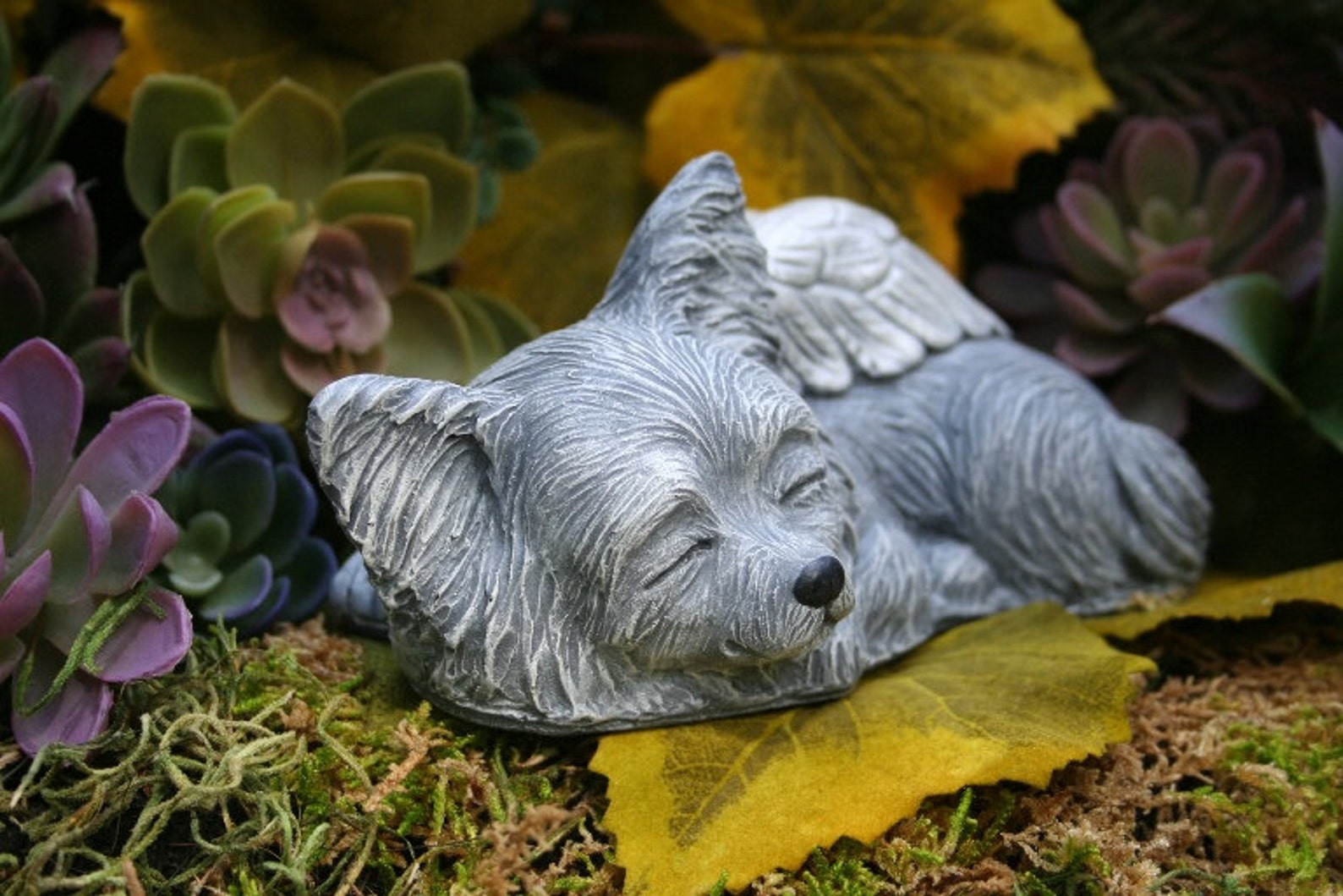 Chihuahua Angel Statue Long Haired Chihuahua Long Coat Chi Etsy