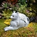 see more listings in the Pet Angels /Pet Memorial section