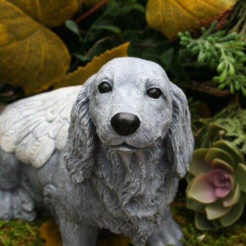 Dog Angel Statue long Haired Dachshund Pet Etsy