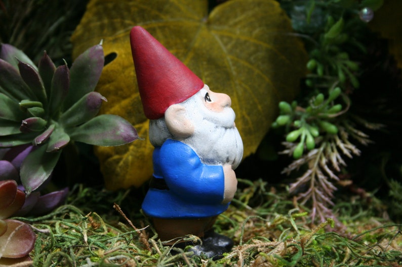 Miniature Garden Gnome Selfie Size Traveling Mini Pocket Gnome image 3
