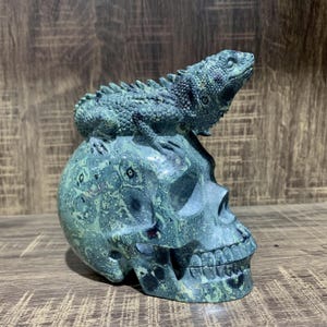 Top Level Natural Kambaba Jasper Lizard Skull Carving, Crystal Skull Home Decor, Quartz Skull Figurine , Healing Crystal Gift.