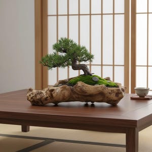 Könnte beinhalten: Ein Bonsai-Baum mit grünen Blättern und einem gebogenen Stamm in einem hellbraunen Holztopf. Der Topf steht auf einem dunkelbraunen Holztisch. Der Hintergrund zeigt eine traditionelle japanische Schiebetür.