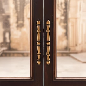 May include: Close-up of a dark brown wooden door with two brass-coloured handles. The handles are vertically aligned and have a decorative design. The background is blurred, showing a glimpse of a building.