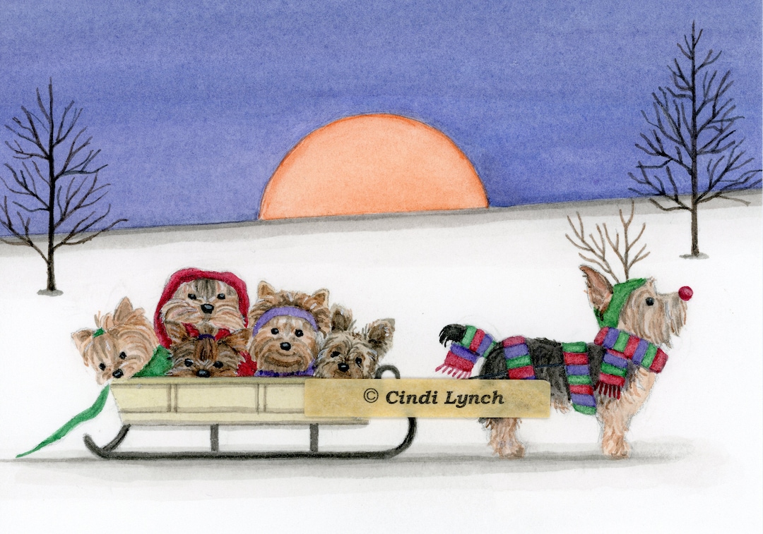 Christmas Cards Yorkshire Terrier yorkie Family Goes for Sled Ride