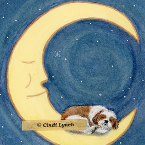 Shih-tzu (shihtzu) marrone scuro e bianco che dorme sulla luna / Stampa d&#39;arte popolare firmata Lynch