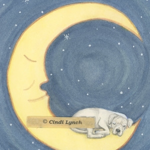 May include: A watercolor painting of a white dog sleeping inside a yellow crescent moon against a blue night sky with white stars. The text "Cindi Lynch" is in the lower center of the image.