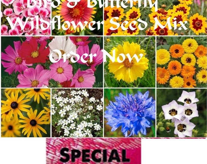 Bird & Butterfly Wildflower Seed Mix, Order now and get a free gift!