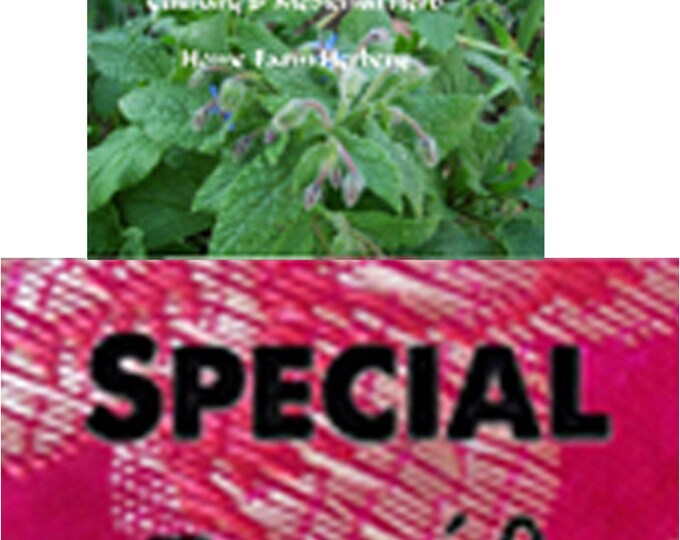 Order Borage, Medicinal Herb Seeds now, special sale, reduced price, Free gift included