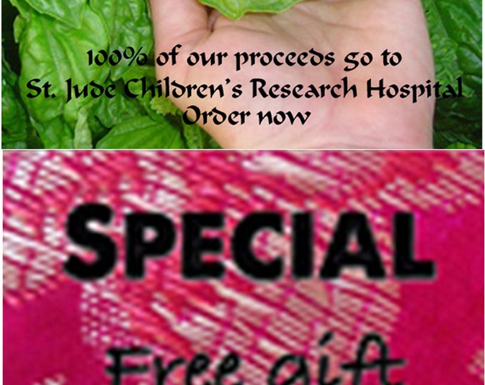 Order Basil, Italian Large Leaf seeds (Heirloom/Non-Hybrid/Non-GMO) now. Free gift included!