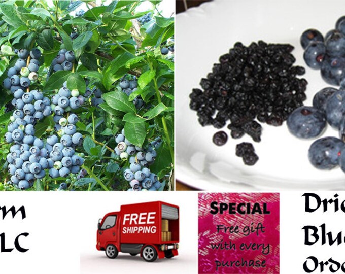 Dried Blueberries, Chemical FREE, Healthy, Delicious, Order now, FREE shipping