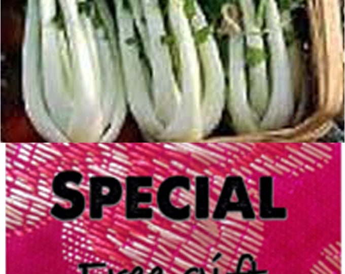 Order Cabbage Asian Green Prize Choy Heirloom seeds & get a free gift