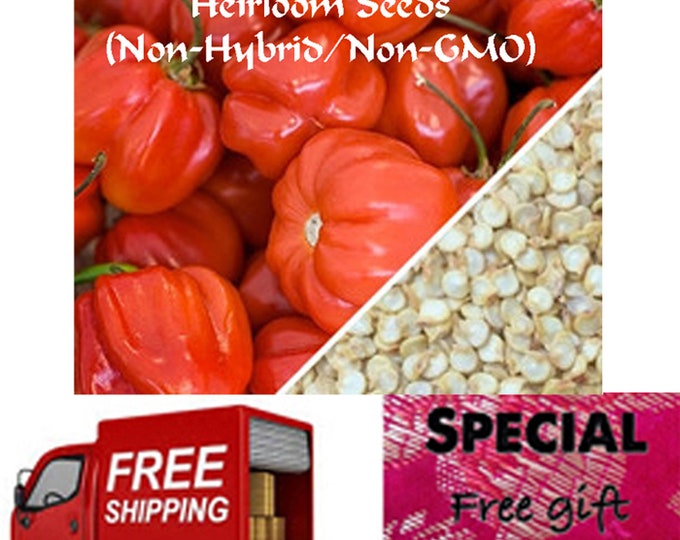 Order Pepper (HOT!), Habanero Red Caribbean Heirloom Seeds now, Special sale, reduced price, FREE shipping & a free gift!