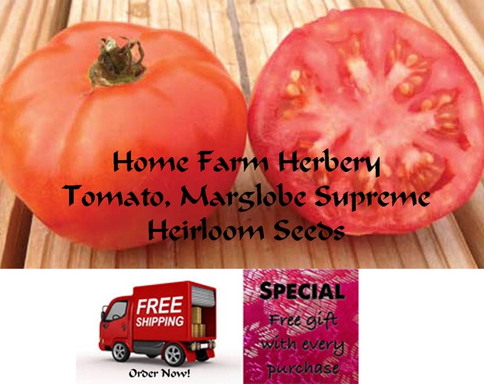Order Tomato Marglobe Supreme Heirloom Seeds now, Special sale, reduced price, FREE shipping & a free gift.