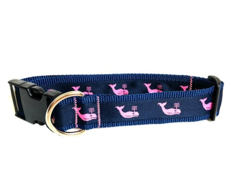 whale dog collar
