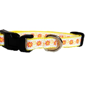 Dog Collar - White and Orange and Yellow Extra Small All Breeds - &#39;Daisies&#39;