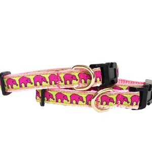Dog Collar - Pink and Green Elephants Extra Small All Breeds - &#39;Pink Elephant Parade&#39;