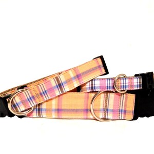 Dog Collar - Orange and Pink Extra Small, Small or Medium Sizes All Breeds - &#39;Salmon Madras Plaid&#39;