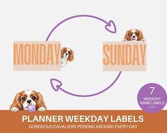 Peeking Dogs Weekday Labels King Charles Cavalier Puppy GoodNotes Digital Planner Stickers Pre Cropped Peeking Dog Clipart