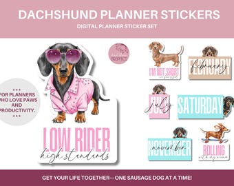 Dachshund Stickers Cute Dog Sticker Dachshund Decal Weiner Dog Sticker Dachshund Gift Dog Care Planner Printable Sausage Dog Cute Stickers