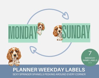 May include: A set of seven planner weekday labels featuring illustrations of brown and white Springer Spaniel dogs peeking from behind rectangular green blocks with the text MONDAY and SUNDAY. A circular arrow with heart ends surrounds the labels.