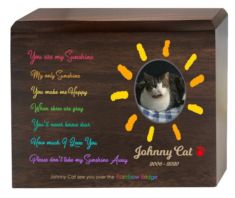 rainbow pet urn
