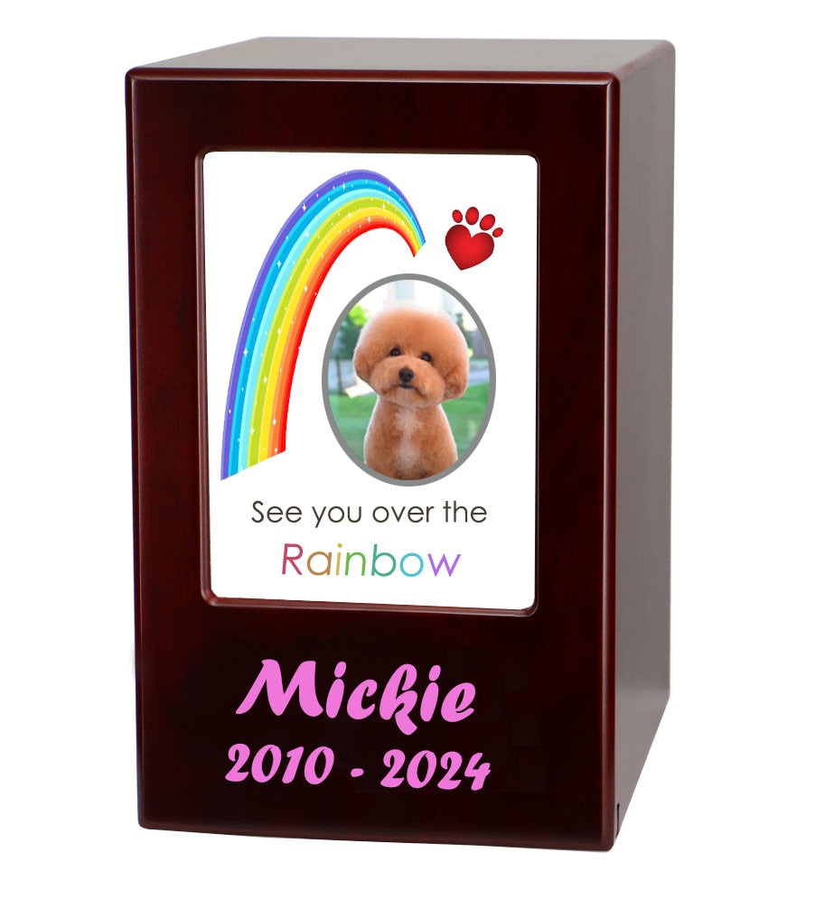 Rainbow Pet Urn Etsy UK