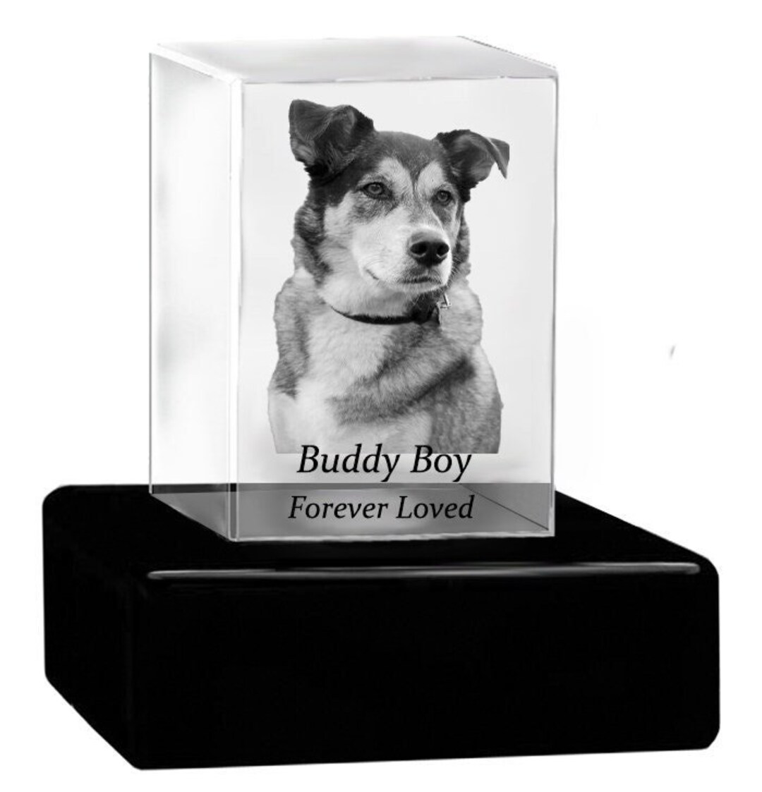 Pet 3D Crystal Memorial Rectangle Light Box Dog Memorial Crystal Photo
