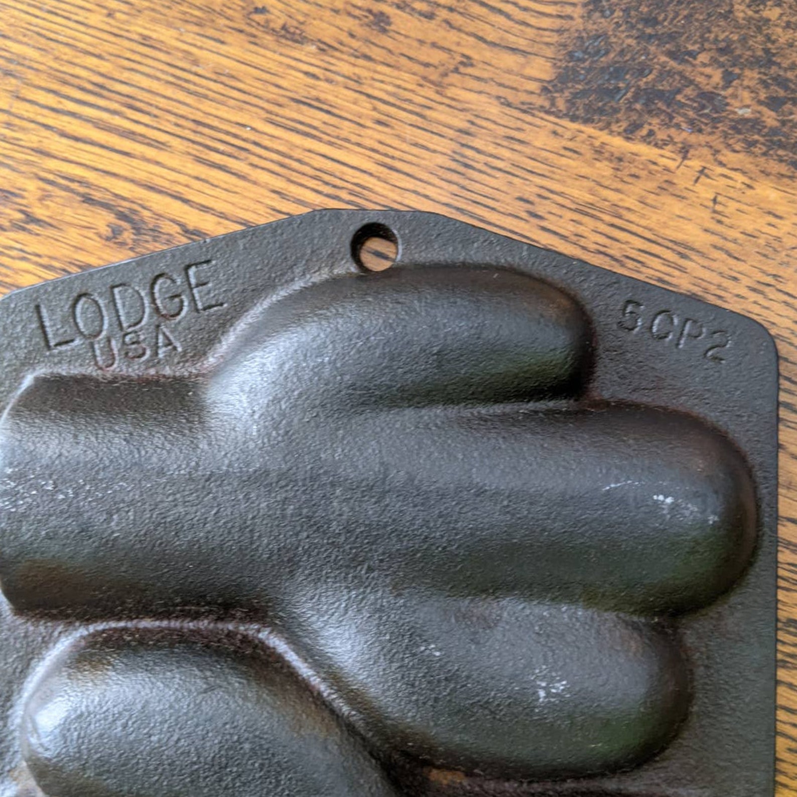 Vintage Lodge Cast Iron Cactus Cornbread Pan 5CP2 Etsy