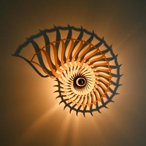 Nautilus, Wandleuchte mit Schattenwurf, aus Holz oder Schwarz lackiert, Schattenlampe