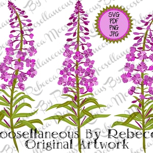 May include: Three digital illustrations of pink fireweed flowers with green stems and leaves. The flowers are arranged vertically and have a delicate, whimsical appearance. The text "Moosellaneous By Rebecca Original Artwork" is at the bottom of the image.