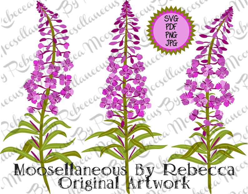 May include: Three digital illustrations of pink fireweed flowers with green stems and leaves. The flowers are arranged vertically and have a delicate, whimsical appearance. The text "Moosellaneous By Rebecca Original Artwork" is at the bottom of the image.