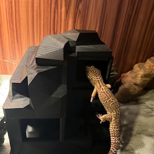Gecko Hide with built-in Water Dish (3D Printed)